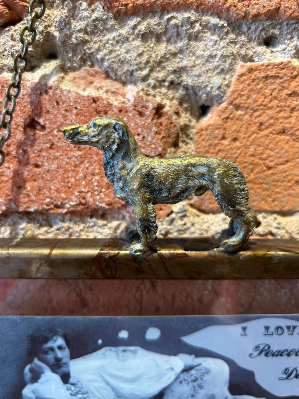Glass and metal dog frame
